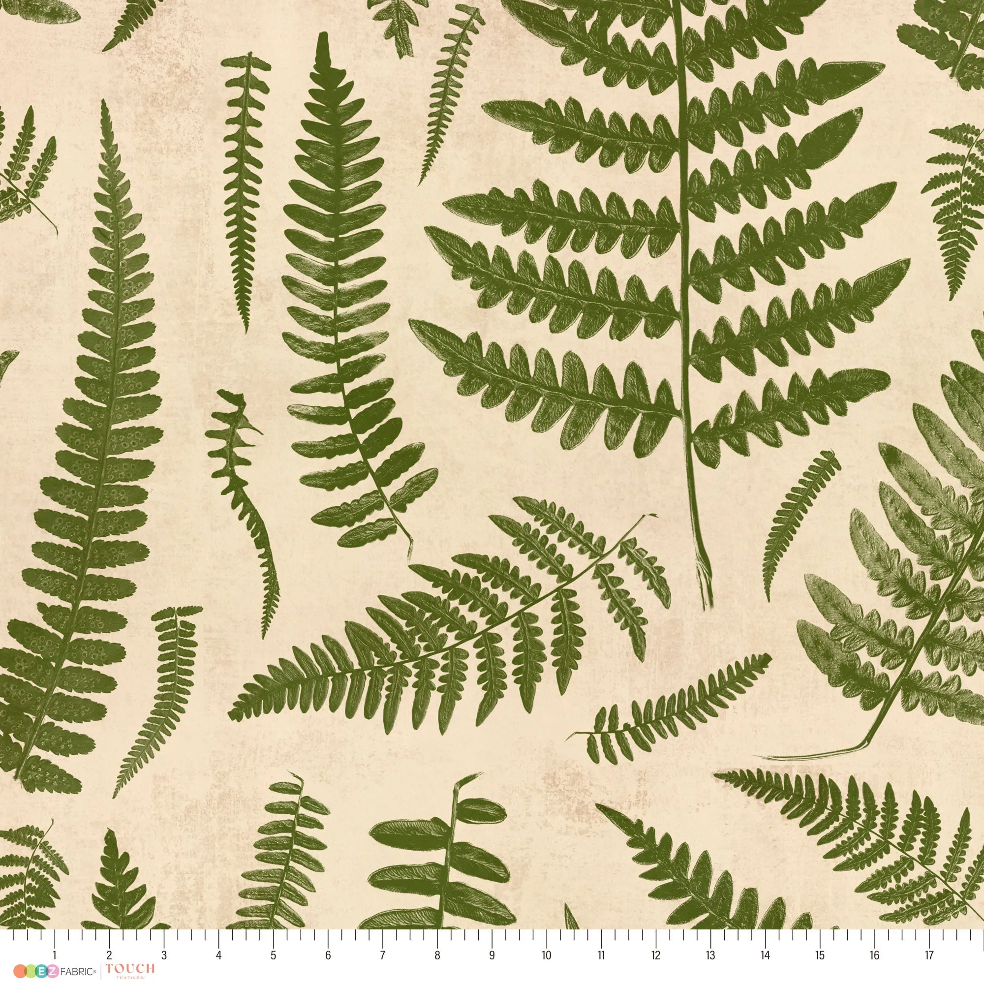 Boho Chic Ferns | Boho Chic Ferns