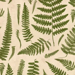 Boho Chic Ferns | Boho Chic Ferns