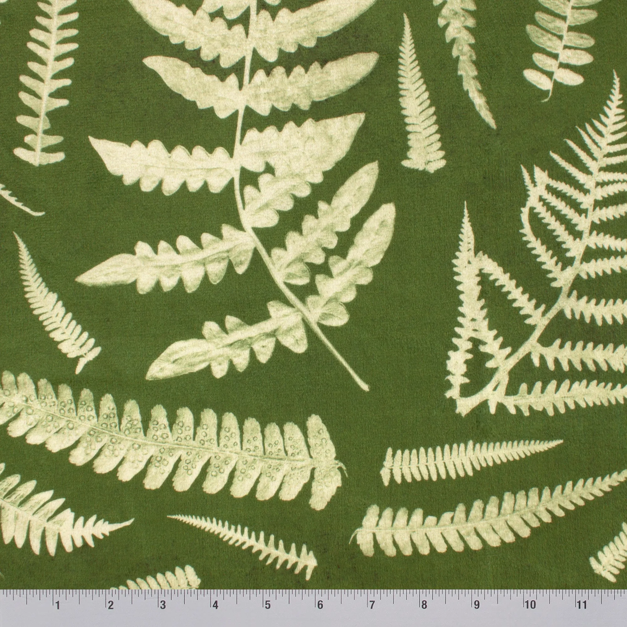 Boho Chic Ferns | Boho Chic Ferns