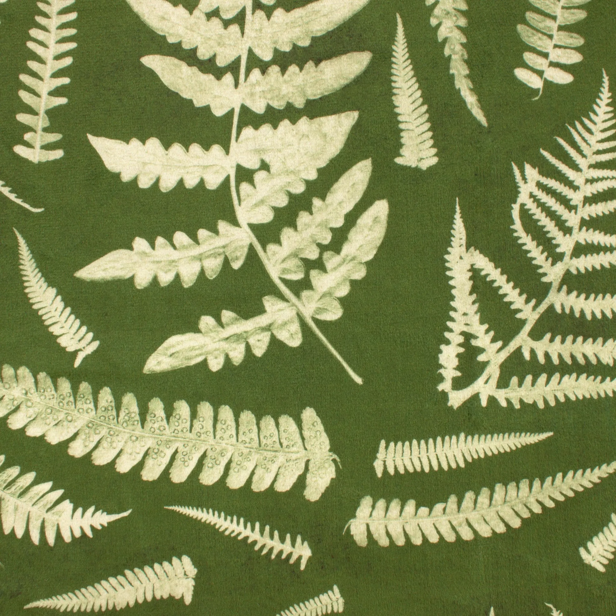 Boho Chic Ferns | Boho Chic Ferns