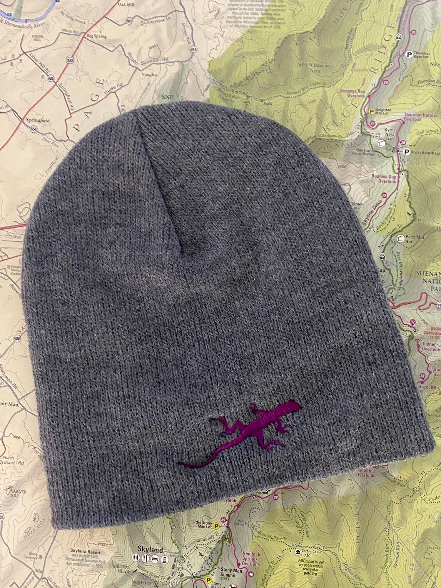 Lizard Knit Beanies