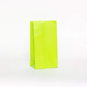 Plain Party Bags Lime Green (12 Pack)